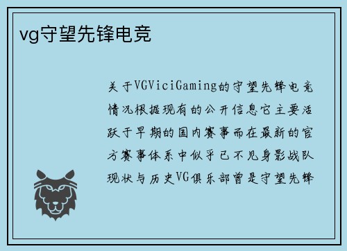 vg守望先锋电竞